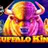 Buffalo King at BetWinner