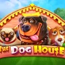 The Dog House at BetWinner